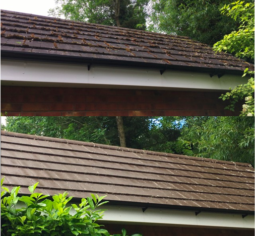 roof cleaning telford